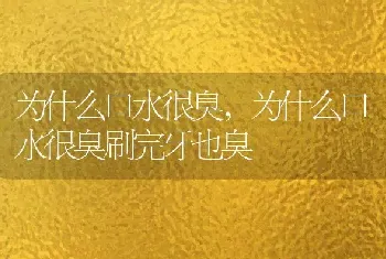 为什么口水很臭，为什么口水很臭刷完牙也臭