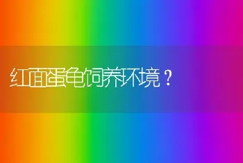 红面蛋龟饲养环境？