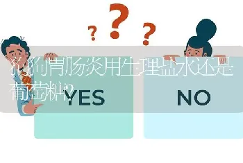 狗狗胃肠炎用生理盐水还是葡萄糖？