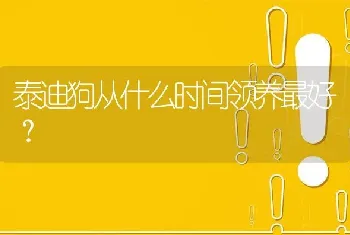 泰迪狗从什么时间领养最好？