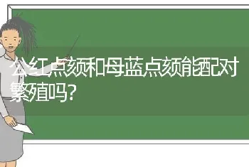 公红点颏和母蓝点颏能配对繁殖吗？