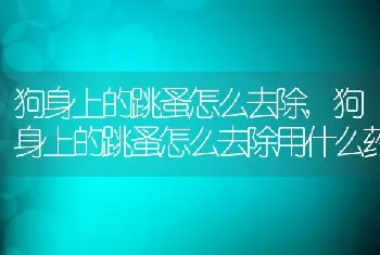 狗身上的跳蚤怎么去除，狗身上的跳蚤怎么去除用什么药