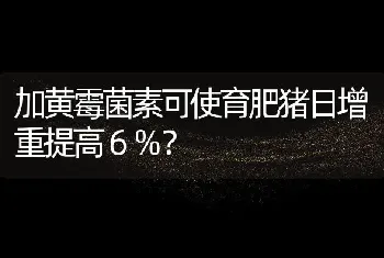 加黄霉菌素可使育肥猪日增重提高６％？