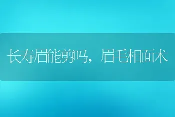 长寿眉能剪吗，眉毛相面术