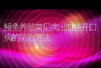 鳗鱼养殖常见病出血性开口病的防治方法