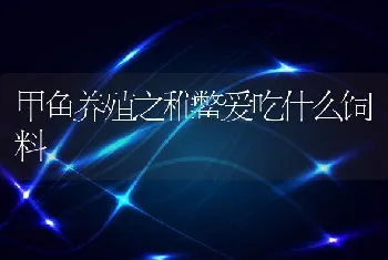 甲鱼养殖之稚鳖爱吃什么饲料