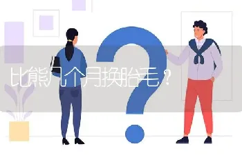 比熊几个月换胎毛？