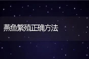 燕鱼繁殖正确方法