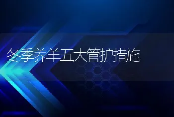 冬季养羊五大管护措施