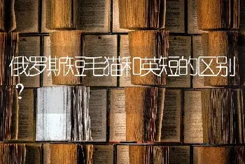 哈士奇狗所说的三把火、两把火是什么意思啊？还有鸳鸯眼？