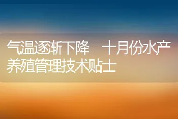 气温逐渐下降十月份水产养殖管理技术贴士