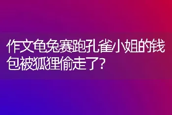 作文龟兔赛跑孔雀小姐的钱包被狐狸偷走了？