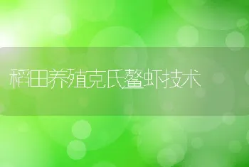 稻田养殖克氏鳌虾技术