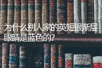 为什么别人家的英短银渐层眼睛是蓝色的？