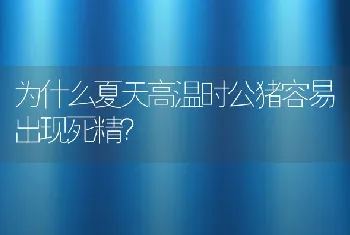 为什么夏天高温时公猪容易出现死精？