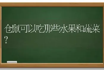 仓鼠可以吃那些水果和蔬菜？