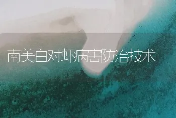 南美白对虾病害防治技术