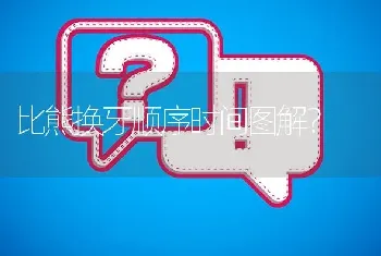 比熊换牙顺序时间图解？