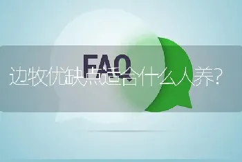 边牧优缺点适合什么人养？