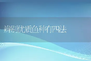 辨别优质鱼种有四法