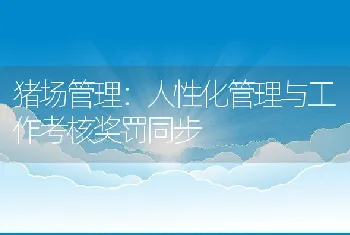 额外添加维生素E会降低猪场PMWS感染