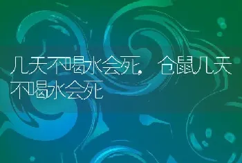 几天不喝水会死，仓鼠几天不喝水会死