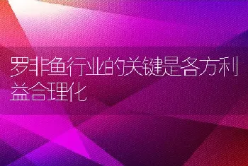 罗非鱼行业的关键是各方利益合理化