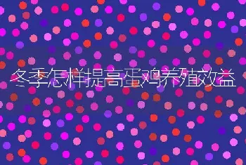 虾、蟹固着类纤毛虫病及其防治