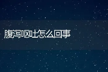 腹泻呕吐怎么回事