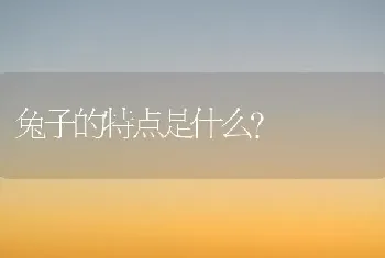 兔子的特点是什么？