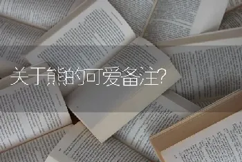 关于熊的可爱备注？