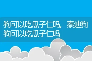 狗可以吃瓜子仁吗，泰迪狗狗可以吃瓜子仁吗