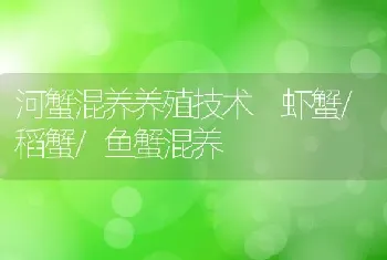 河蟹混养养殖技术 虾蟹/稻蟹/鱼蟹混养