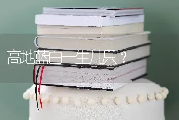 高地蓝白一生几只？