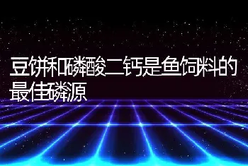 豆饼和磷酸二钙是鱼饲料的最佳磷源