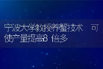 宁波大学教授养蟹技术可使产量提高8倍多