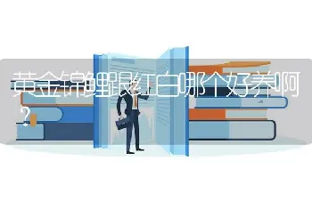 黄金锦鲤跟红白哪个好养啊？