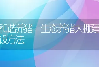 和谐养猪 生态养猪大棚建设方法