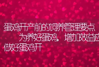 蛋鸡开产前的饲养管理要点　　为养好蛋鸡，增加效益应做好蛋鸡开