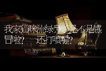 我家猫咪流绿鼻子是不是感冒啦?还打喷嚏？