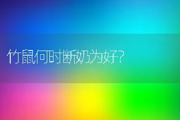 竹鼠何时断奶为好？