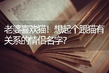 老婆喜欢猫！想起个跟猫有关系的情侣名字？