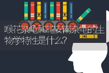 喉花杂龟和花安南杂龟的生物学特性是什么？