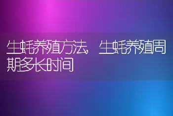 生蚝养殖方法,生蚝养殖周期多长时间