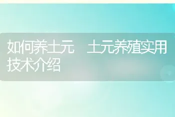 如何养土元 土元养殖实用技术介绍