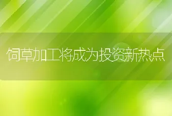 饲草加工将成为投资新热点