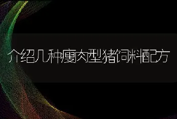 介绍几种瘦肉型猪饲料配方