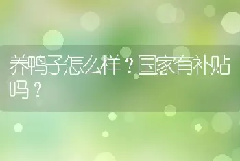 养鸭子怎么样？国家有补贴吗？