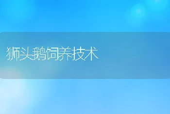 近海滩涂增殖放流日本对虾报告