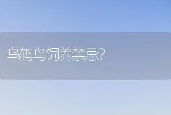 乌鸫鸟饲养禁忌？